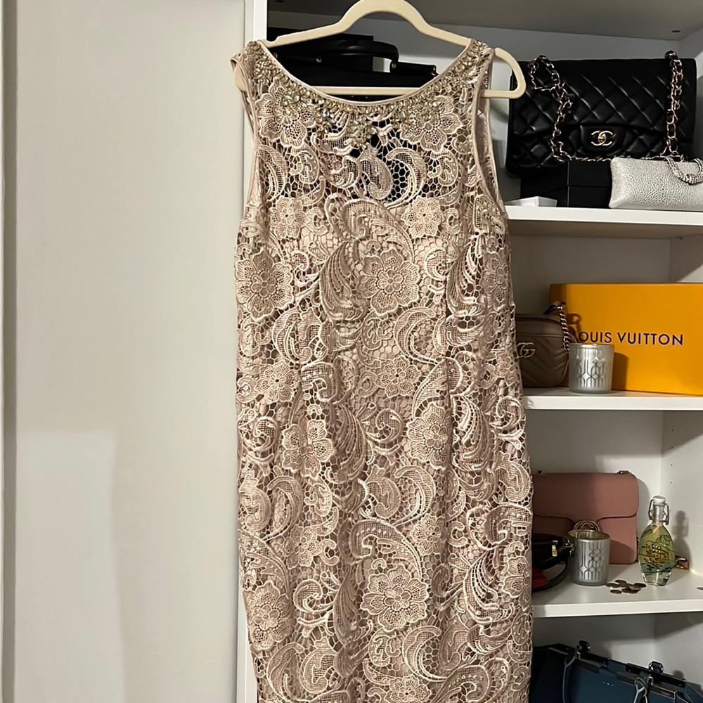 Adrianna Papell Champagne Dress with Embellishments